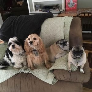 Meet your Posher, Deb